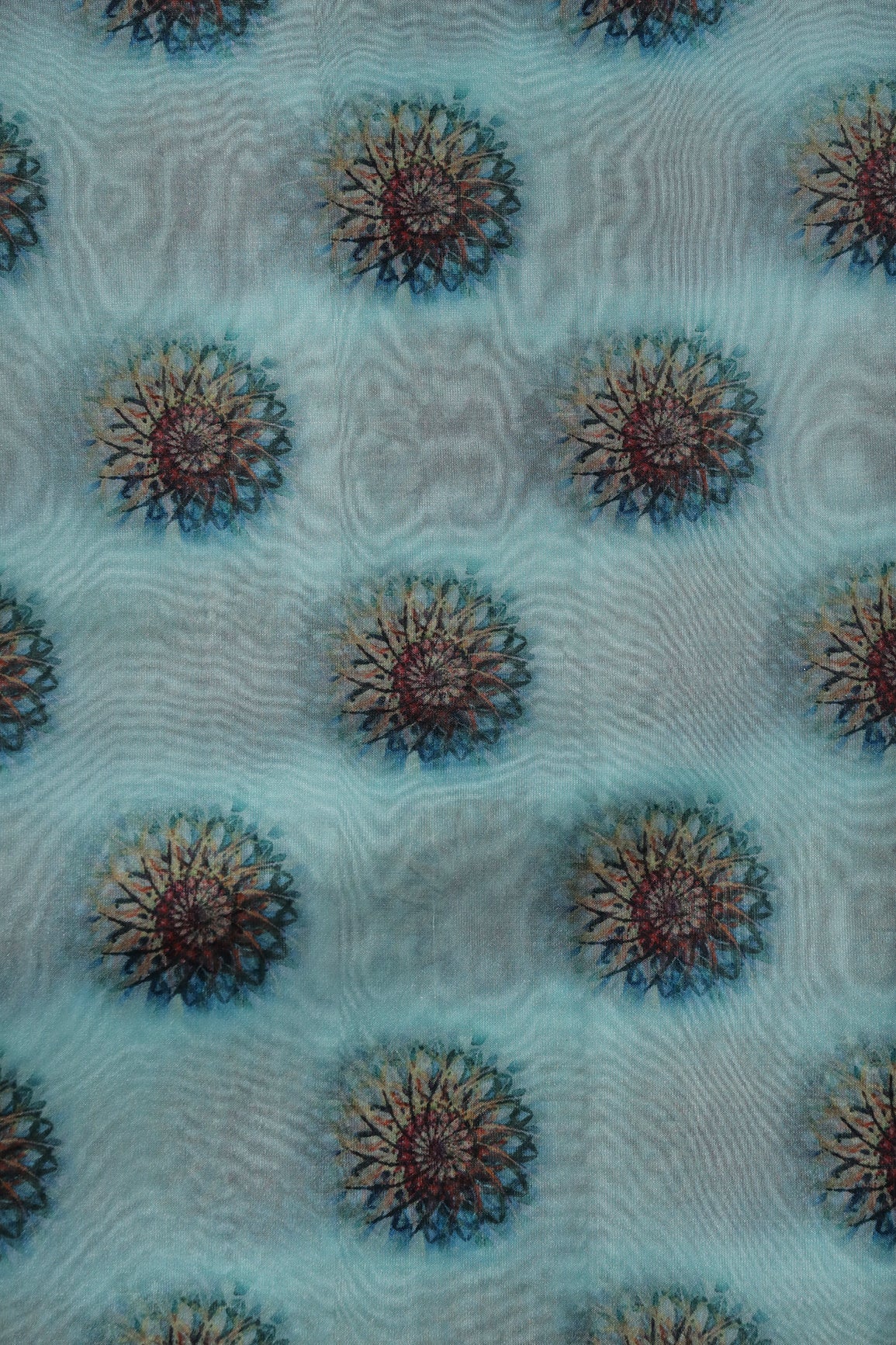 AIzaSyBcstauz-XMPRhEY21AUzeo032pxrXB5Ug - Black And Brown Traditional Pattern Digital Print On Sky Blue Organza Fabric