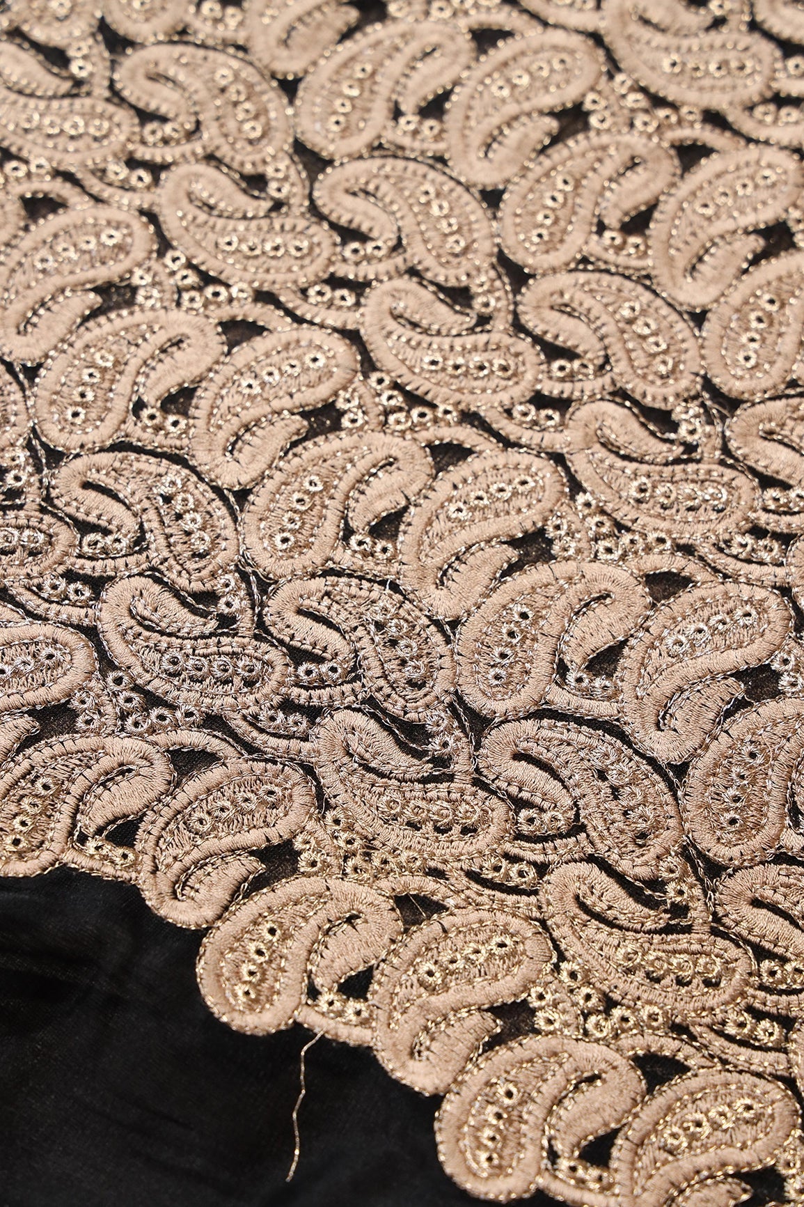 AIzaSyBcstauz-XMPRhEY21AUzeo032pxrXB5Ug - Beige Thread With Gold Zari Heavy Paisley Embroidery On Black Soft Net Fabric