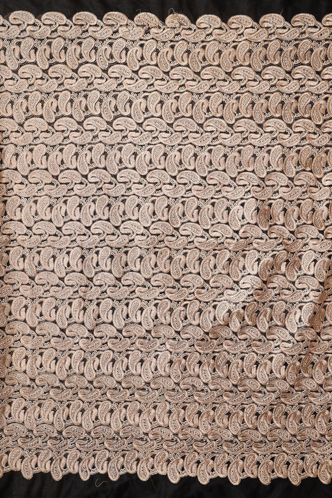 AIzaSyBcstauz-XMPRhEY21AUzeo032pxrXB5Ug - Beige Thread With Gold Zari Heavy Paisley Embroidery On Black Soft Net Fabric