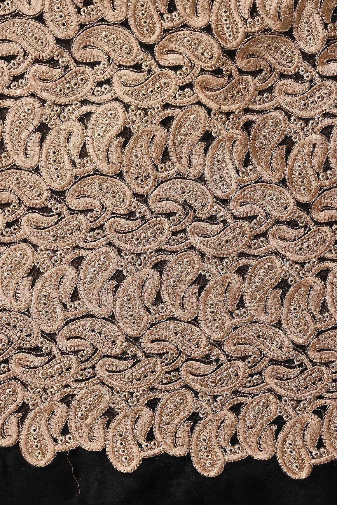 AIzaSyBcstauz-XMPRhEY21AUzeo032pxrXB5Ug - Beige Thread With Gold Zari Heavy Paisley Embroidery On Black Soft Net Fabric