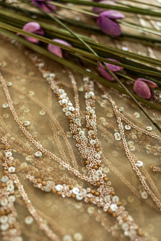 AIzaSyBcstauz-XMPRhEY21AUzeo032pxrXB5Ug - Gold And Silver Sequins With Beige Thread Embroidery on Beige Soft Net
